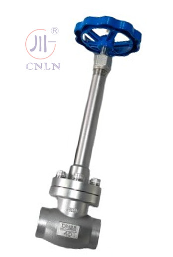 Valva de globo manual de baixa temperatura de aço inoxidável DN25 para GNL/LOX/LN2/LAR/LCO2