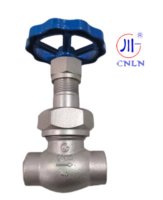 CNLN/Arman DJ61F-40P SS304/316 válvula criogênica de globo curto tipo C ((DN10-50mm) para sistemas LNG/LOX/LN2 CE/ISO/EAC certificado
