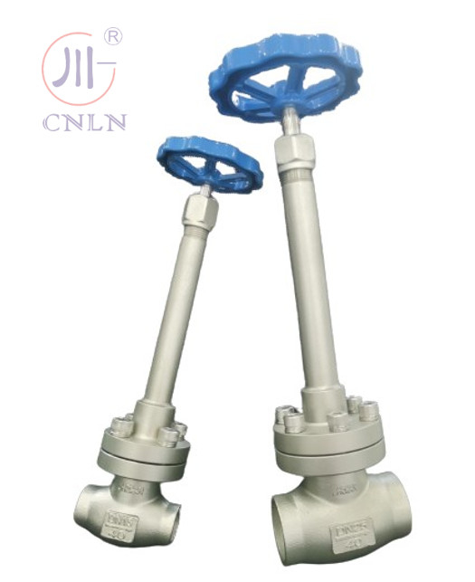 CF3/CF8 válvula criogénica globular de aço inoxidável DN25/DN15 para GNL/LOX/LN2/LAR/LCO2