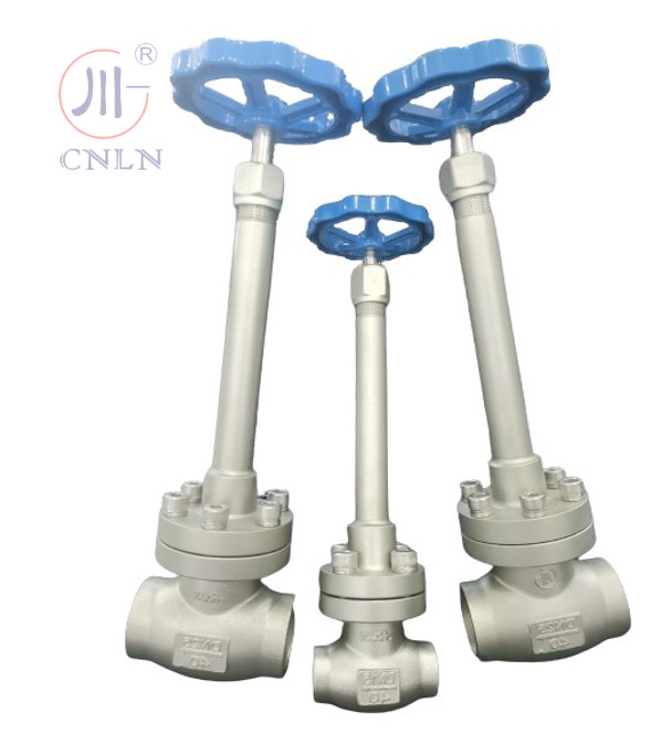 CF3/CF8 válvula de globo criogénico manual DN25/DN15 para GNL/LOX/LN2/LAR/LCO2