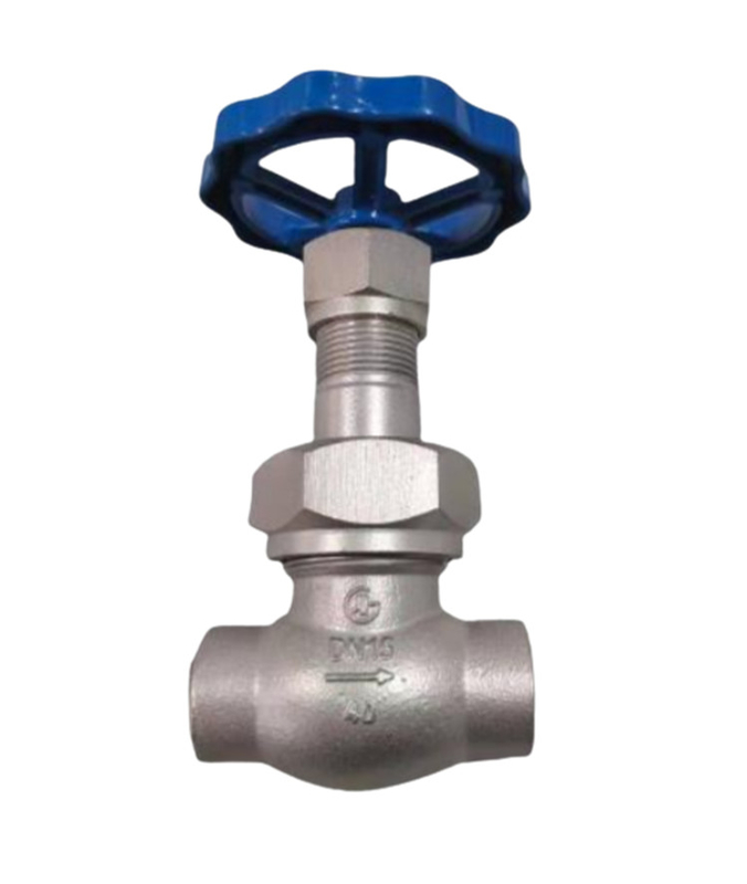 Sort stem LN2 DN25 Cryogenic Socket Weld Globe Valve DJ61F-40P para LNG/LOX/LN2/LAR/LCO2