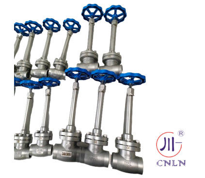 SS304/316 válvula de globo criogénico tipo B (DN10-100 mm) para GNL/LOX/LN2