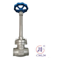 Valva de globo de baixa temperatura de aço inoxidável para gás natural liquefeito/LOX/LN2/LAR/LCO2