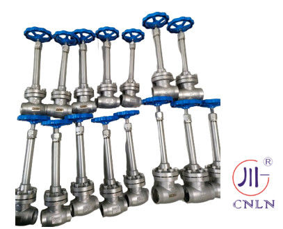 Valva de globo de baixa temperatura de aço inoxidável para gás natural liquefeito/LOX/LN2/LAR/LCO2