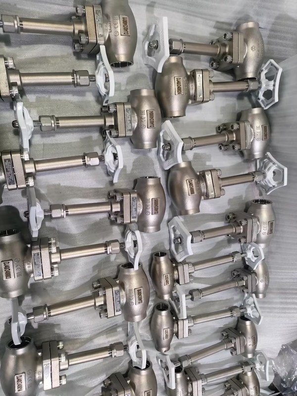 Válvula Globo Criogênica DN25 Aço Inoxidável 304/316 com Vedação PTFE e Corpo CF8/CF3 para Aplicações de -196°C a +80°C