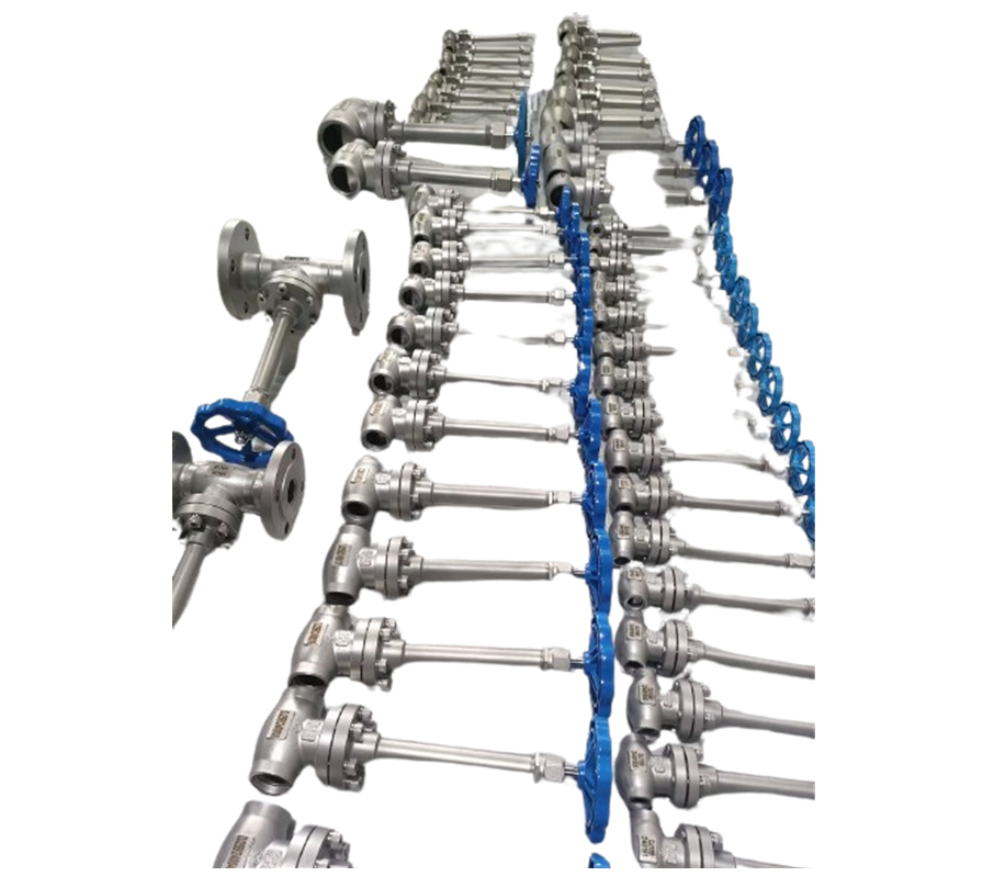 DN32 válvula de globo criogénico de aço inoxidável 304/316 5.0Mpa -196°C