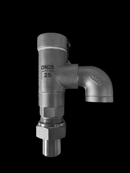 Válvula de Segurança Criogênica em Aço Inoxidável - Classificação de Pressão para Aplicações de -196°C a +120°C