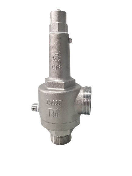 DN25 Válvula de segurança criogénica de ação direta de moagem totalmente aberta -196~+80 °C para GNL/LOX/LN2/LAR/LCO2