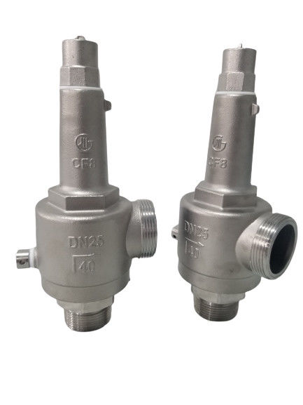 DN25 Válvula de segurança criogénica de ação direta de moagem totalmente aberta -196~+80 °C para GNL/LOX/LN2/LAR/LCO2